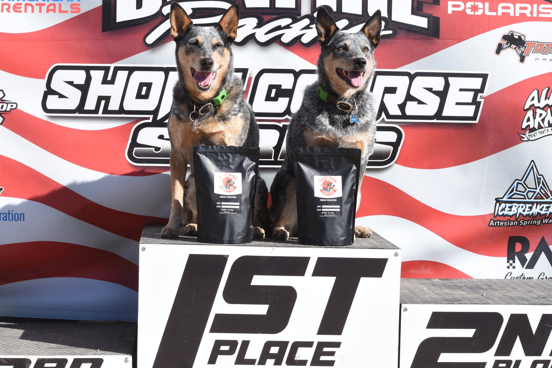 Two dogs on winner podium with bags of freshly roasted coffee, racing event background